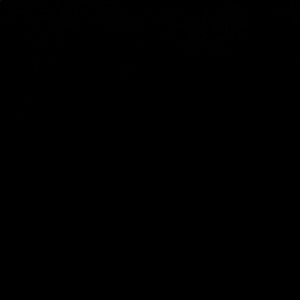 Meet your Posher, Julian